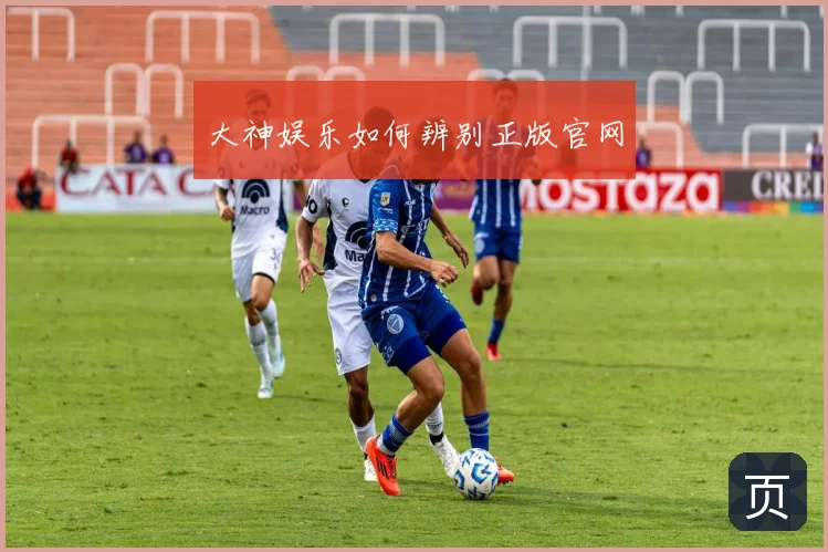大神娱乐如何辨别正版官网